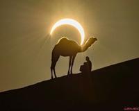 骆驼背上的太阳 自然与人文的完美结合