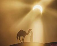 骆驼背上的太阳 自然与人文的完美结合