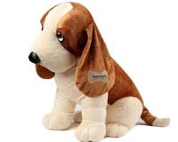 暇步士的狗是什么品种 为什么被禁养