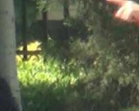 李小璐接甜馨放学 脸色并不那么好