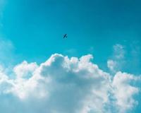 年轻人一定要戒掉的几样东西