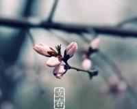 2020年2月4号立春是几点钟？