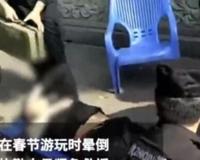 广东游客春节爬山中暑 网友:＂我们不是生活在一个国家＂