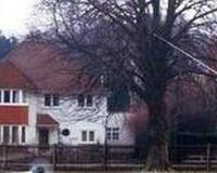 遥控直升机怎么玩