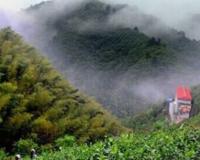 山坡上有什么补充句子