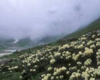 山坡上有什么补充句子