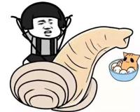 象拔蚌什么梗？