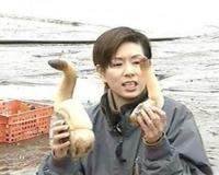 象拔蚌什么梗？