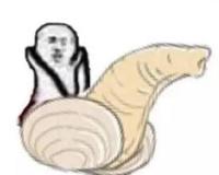 象拔蚌什么梗？