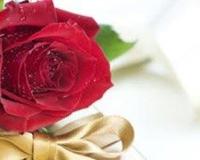 吾匮卿汝愿乎是什么意思？