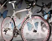 全球最贵自行车 蝴蝶Trek Madone自行车(成交价50万美元)
