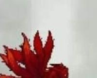 死神vs火影2.6鸣人怎么变九尾