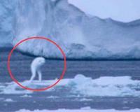 南极未知生物ningen 疑似日本人造人(高达30米)