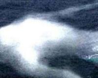 南极未知生物ningen 疑似日本人造人(高达30米)