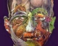 智商160的人才能看懂的图片 看懂最后一张算你狠（快来挑战）