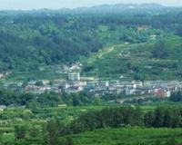 探索中国四大盆地 像聚宝盆一般装载着丰富的资源