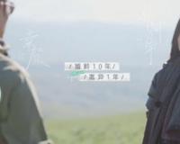 章贺郭柯宇复合了吗