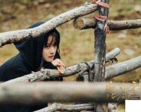 文晴个人资料 文晴多大