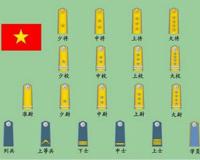 上将相当于什么级别