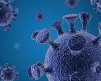 全世界唯一没有新冠肺炎的国家