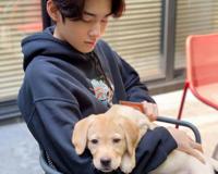 藤间斋爸爸出轨【藤间斋家族妻子要求】