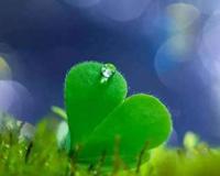 立秋祝福语带图片大全