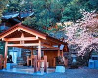 日本东京神社有哪些