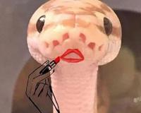 人类怕蛇竟然是祖先留传的？