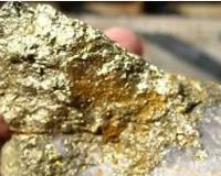 河南发现大型金矿31.55吨
