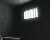 长得帅的进监狱会怎样