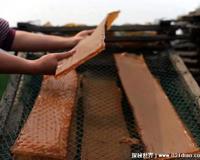 动物胶配方整个过程，仅需3步做出高品质食用动物胶