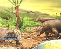 笠头螈的外形特征及介绍 是否真的已经灭绝了?