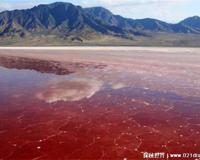 伊拉克血湖是怎么形成的，受到污染所导致(并非红色)