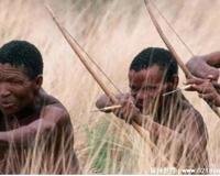 布须曼人是什么人种，是黑色种人成员之一(长相却酷似黄种人)