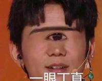 一眼丁真是什么梗，嘲讽丁真(意喻看一眼就知道是假的)