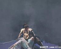 东伯雪鹰有几个妻子，只有一个妻子(摩雪国大公主余靖秋)