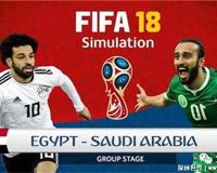 突尼斯世界杯历史成绩（5次世界杯）