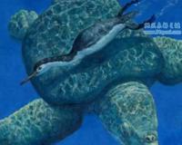 古巨龟:史上最大的海龟 具有强大咬合力体重2吨