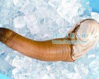 象拔蚌是什么梗?真正的象拔蚌多少钱一斤?