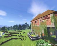 mc是什么意思，游戏我的世界/控制麦克风的人