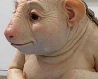 云南猪人事件真相是什么?猪人照片是真的吗?