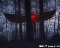 天蛾人是真的吗，天蛾人吃人的图片(曾有100多人因此死亡)