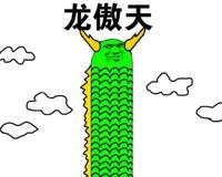 傲天体是什么梗，中二的霸道总裁体质(出自喜剧大赛2)