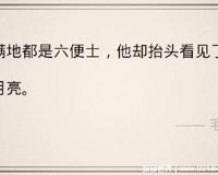 六便士和月亮是什么梗抖音，寓意有些人为了追求理想不顾现实