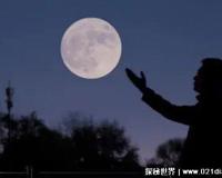 六便士和月亮是什么梗抖音，寓意有些人为了追求理想不顾现实