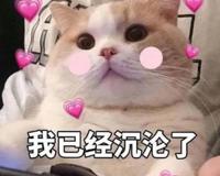 rps在饭圈是什么意思，现实偶像的假想情侣(是不限男女的真人cp)