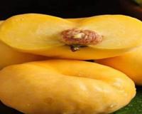 黄金蜜桃是脆的还是软的