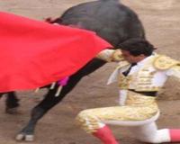 斗牛为什么用红色的布