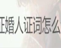 证婚人证词