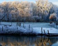 马光月阿訇演讲稿